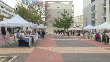 JF Venteira Celebra Dia do Animal Com Ações Solidárias